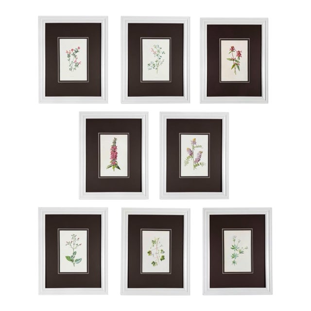 Antique Botanical Print Gallery | Set of 8 F. Edward Hulme Chromolithographs, Framed For Sale