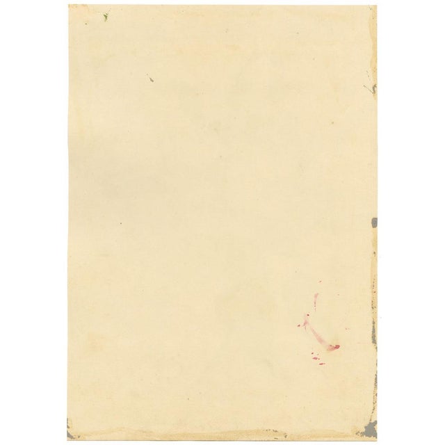 E.B.R., Pink and White Tree Mallow (Lavatera) Flower, 1800s, Watercolour For Sale - Image 6 of 7