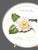 Villeroy & Boch Collectable Villeroy & Boch Pale Pink & White Camelia Wall Plate 1995 For Sale - Image 4 of 8