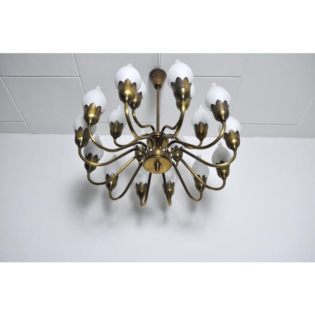 18-Arm Brass and Opaline Glass Tulip Chandelier from Fog & Mørup, 1950s For Sale - Image 11 of 18