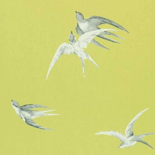 Sanderson Swallows Wallpaper in Lime For Sale