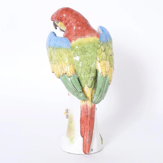 German Porcelain Parrot For Sale - Image 4 of 8