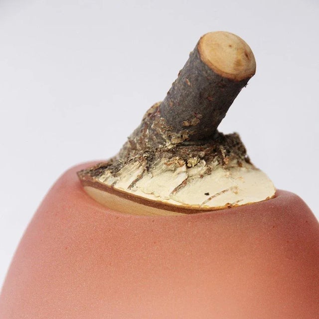 Contemporary Peach Sandblast Branch Vase by Pia Wüstenberg For Sale - Image 3 of 6