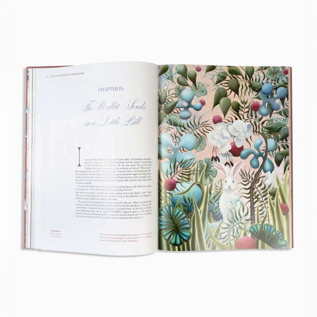 Textile Alice in Wonderland Art Novel Collector's Edition Book For Sale - Image 7 of 12