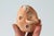 Ceramic Vintage Folk Art Studio Pottery Figure Sculpture For Sale - Image 7 of 8