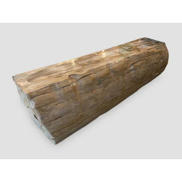 Impressive, high quality petrified wood log bench. It’s fascinating how Mother Nature produces these exquisite 40 million...