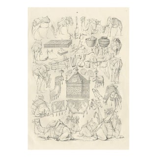 Camel and Caravan Equipment Studies, 1846, Paper For Sale