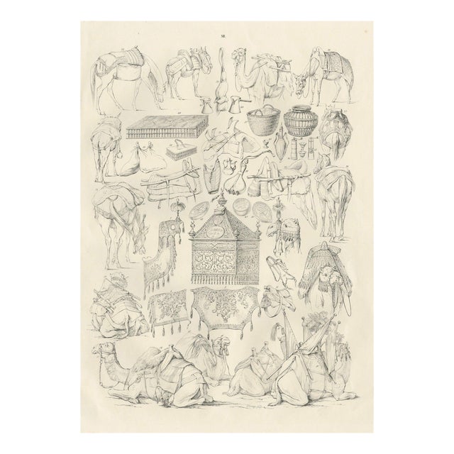 Camel and Caravan Equipment Studies, 1846, Paper For Sale