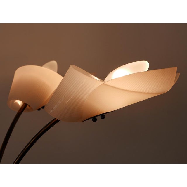 5-Armed Ceiling Lamp, Germany, 1950s For Sale - Image 15 of 18