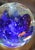 Murano Glass Aquarium Fish Paperweight, Italy, 1960s For Sale - Image 17 of 18