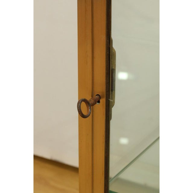 Brass and Elm Display Case, 1950 For Sale - Image 11 of 18