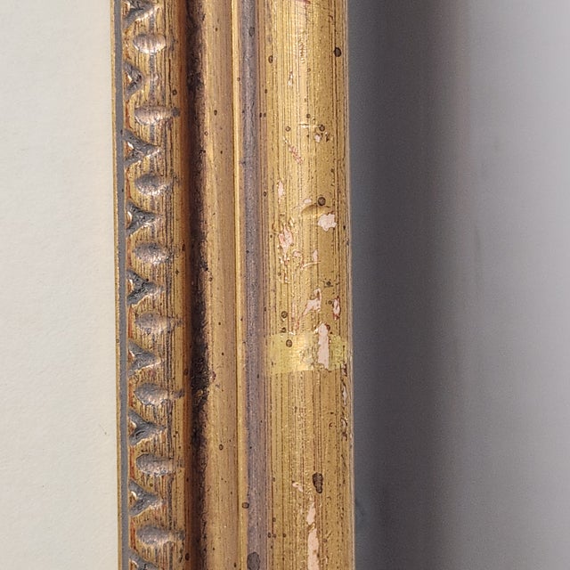 Antique Botanical Engraving With French Matting – “Scammonium Syriacum” After Nicolas Robert For Sale - Image 9 of 12