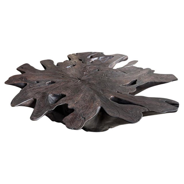 2010s Andrianna Shamaris Impressive Sculptural Teak Wood Root Coffee Table For Sale - Image 5 of 18