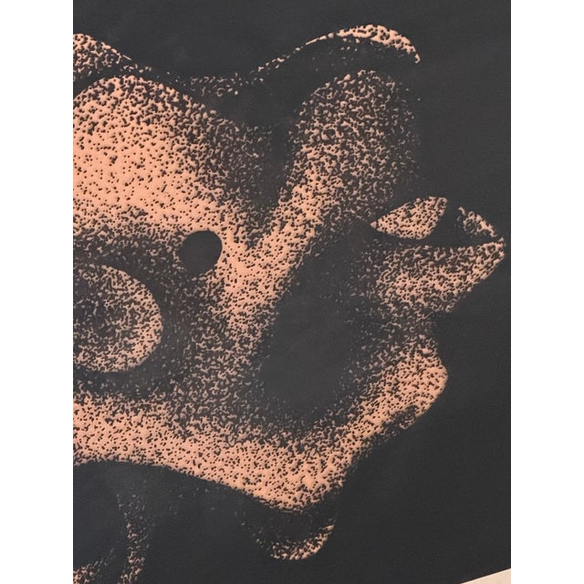 Irene Miller Stein Signed Framed Abstract Black White Serigraph Earth Fertility For Sale - Image 12 of 18