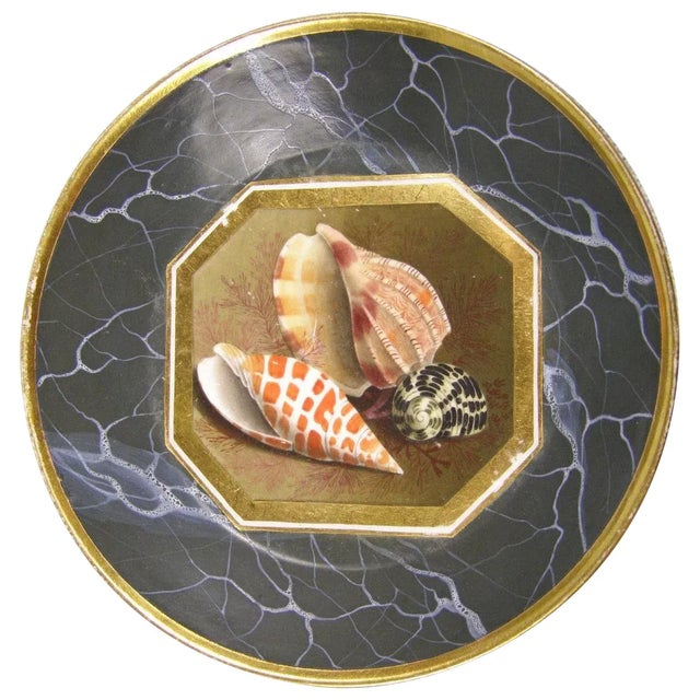 Early 19th Century 1805 Worcester Porcelain Flight Barr Conchological Sea Shell Decorated Saucer Plate For Sale - Image 5 of 5
