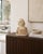 Antique Victorian Alabaster Bust, 1860 For Sale - Image 3 of 14