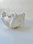 Ceramic Coral Bowl by N'atelier For Sale - Image 17 of 18