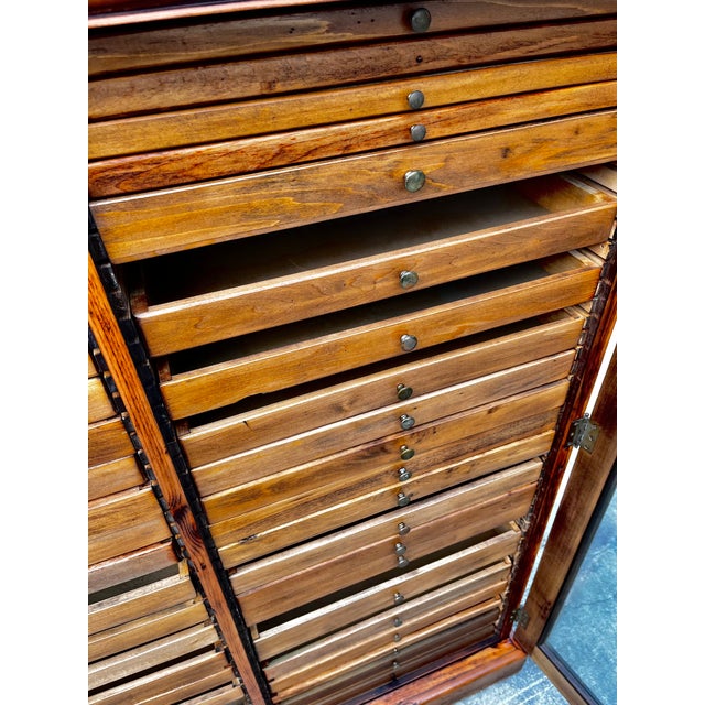 Antique Collector's or Specimen Cabinet | Late 19th Century For Sale - Image 9 of 18