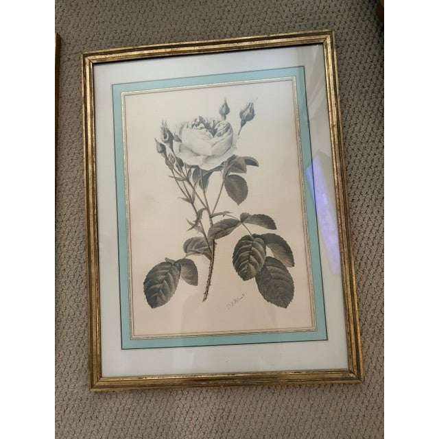 1930s 1930s Pierre-Joseph Redoute Botanical Florals - Pair For Sale - Image 5 of 9