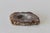 Vintage Mid Century Polished Brown White Agate Ashtray Candy Dish Cashpot For Sale - Image 12 of 15