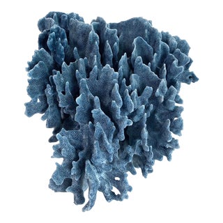 Natural Blue Coral Specimen Coastal Decor For Sale