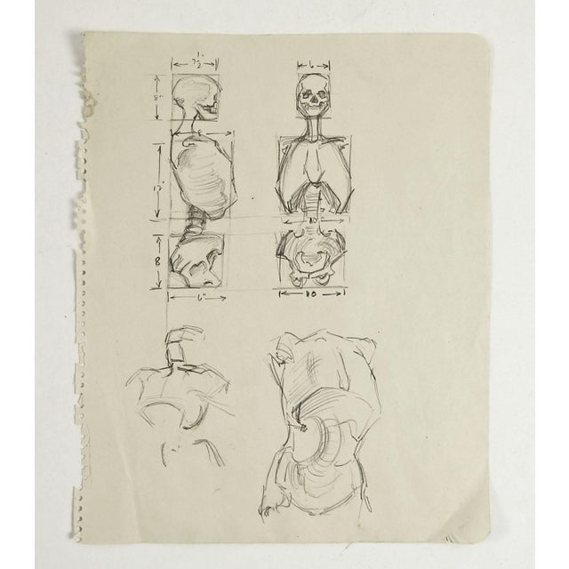 Gothic Mid 20th Century Anatomy Skeleton Study Drawing For Sale - Image 3 of 3