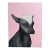 Portrait of a Xoloitzcuintli Oversized Canvas Original Art For Sale