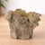 Farmhouse Faux Tree Stump Cement Planter Container 7.25"H For Sale - Image 3 of 4
