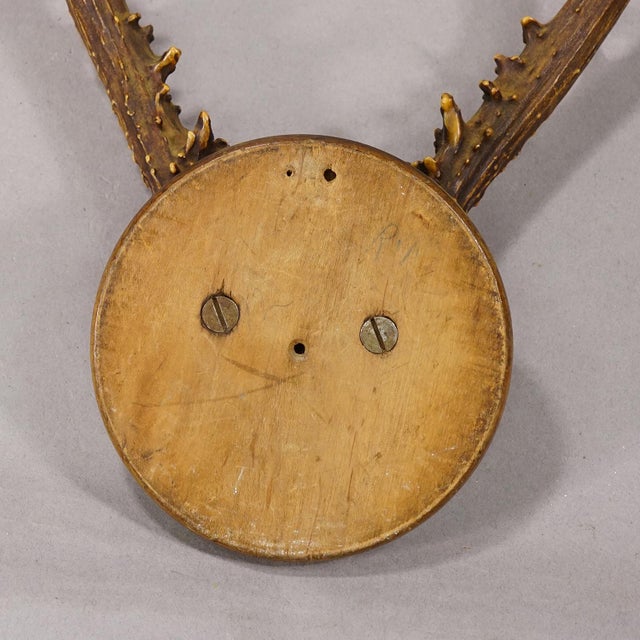 Rustic European Antique Sika Deer Antler Trophy on Carved Plaque, Germany 1930s For Sale - Image 3 of 4