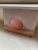 Realism Egg on a Shelf, Oil Painting by Julian Merrow-Smith For Sale - Image 3 of 7