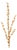 Ilex Berry Spray (Set of 2) For Sale