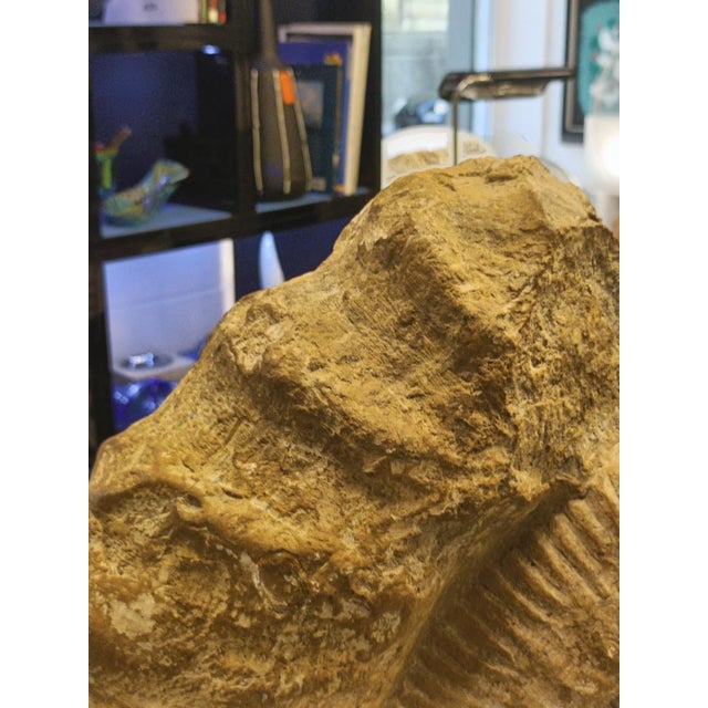 Metal Prehistoric Ammonite Fossil on Iron Stand For Sale - Image 7 of 10