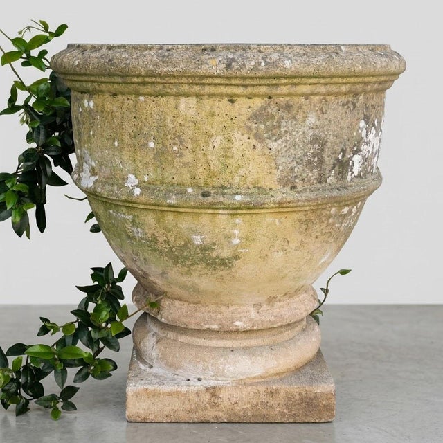 Stone Large Limestone Garden Basin, 1890s For Sale - Image 7 of 7