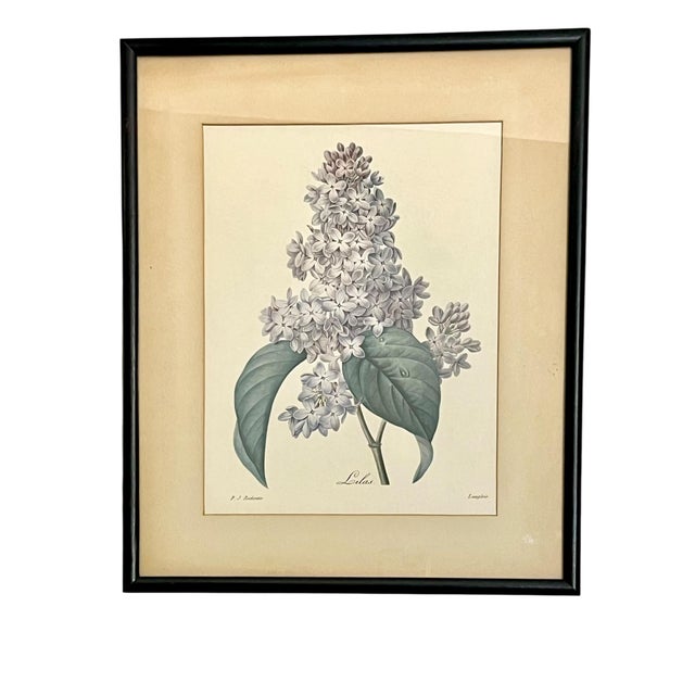 Pair of vintage English country house framed prints by Redoute and Chirat. Both artists know for their skilled floral...