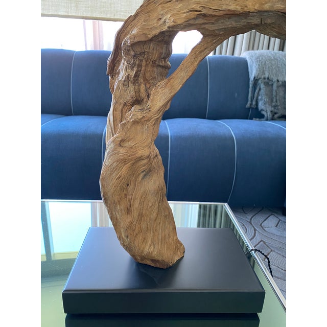 Vintage 1960s Driftwood Lamps (Pair) For Sale - Image 9 of 12