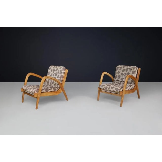 Curved Easy Chairs in Ash with Original Upholstery by Jan Vaněk, Cz, 1950s, Set of 2 For Sale - Image 10 of 11
