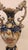 Ceramic Pair of Mid 20th Century English Pottery Urns For Sale - Image 7 of 7