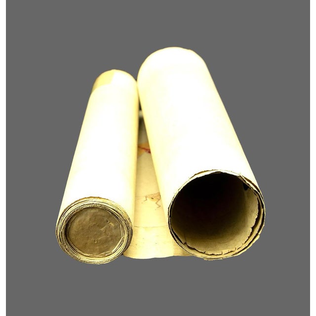 Japanese Artist, Scroll Painting Depicting Insects, Early 19th Century, Pigments on Paper For Sale - Image 4 of 5