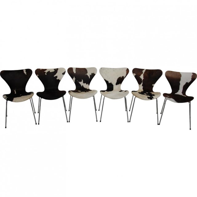 2000 - 2009 Seven Chairs in Cow Hide by Arne Jacobsen, 2000s, Set of 6 For Sale - Image 5 of 15