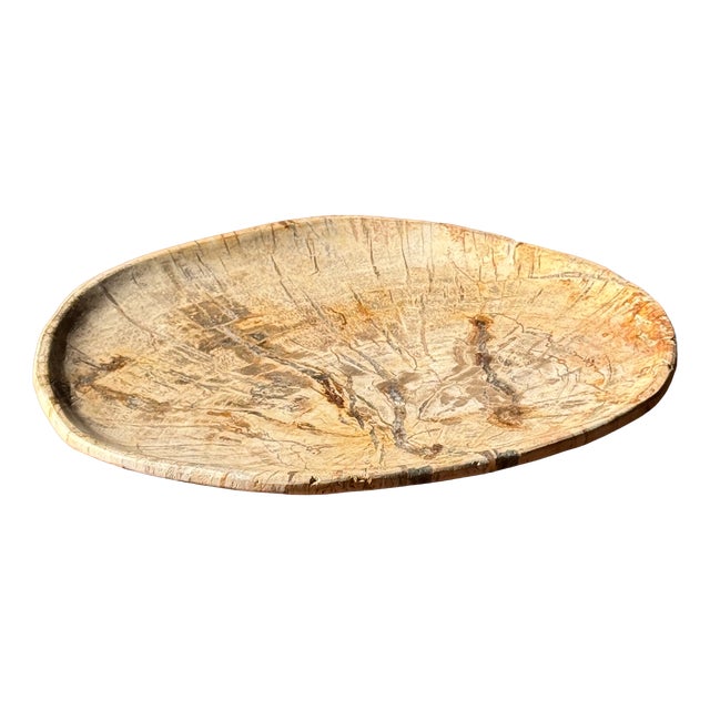 Small Oval Trinket Dish or Tray in Beige Petrified Wood with Crystal Rings, d25-20.5 -3313 For Sale