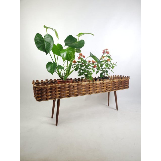 Vintage Plant Stand in Wood, 1960s, in Good conditions. Designed 1960 to 1969