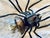 Mid-Century Italian Modern Metal and Glass Spider Wall Lamp, 1950s For Sale - Image 18 of 18