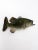 Vintage Bass Fish Wall Mount For Sale - Image 6 of 9