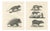 After Schinz, Porcupine, Agouti & Tapir, 1830, Lithographs, Set of 2 For Sale