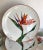 This is such a wonderful set from the 1980's that has both a mug and plate set for 12! Each piece has the bird of paradise...