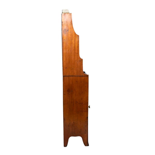 English Regency Mahogany Dwarf Bookcase For Sale - Image 4 of 8