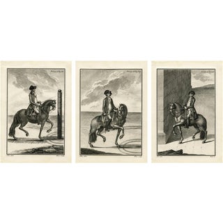 Gaspar Fróis Machado, Dressage and Piaffe, 1790, Engraving, Set of 3 For Sale