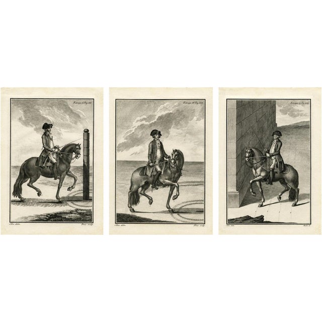 Gaspar Fróis Machado, Dressage and Piaffe, 1790, Engraving, Set of 3 For Sale