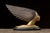 A striking Art Deco hood ornament known as Spirit of the Wind, featuring a stylized female figure with swept-back,...
