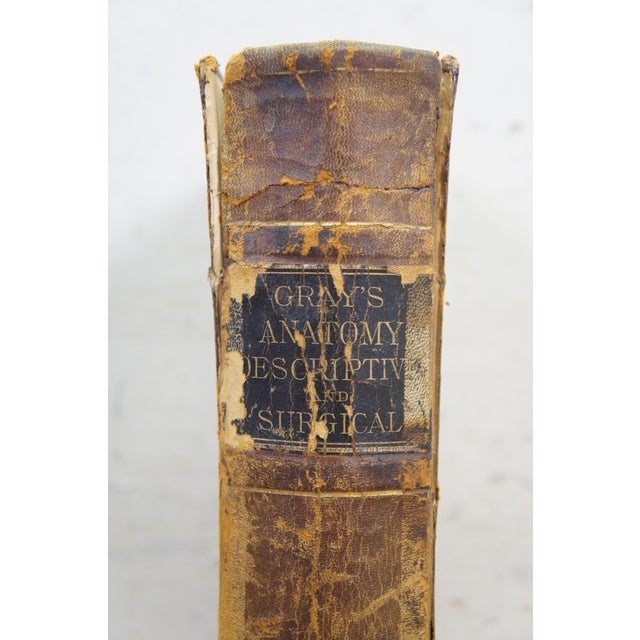 Antique 1878 Grays Anatomy Descriptive Surgical Medical Book Henry C Lea Leather For Sale - Image 4 of 16